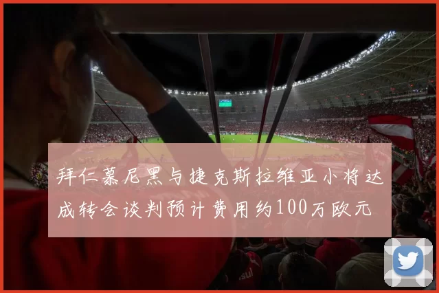 拜仁慕尼黑与捷克斯拉维亚小将达成转会谈判预计费用约100万欧元